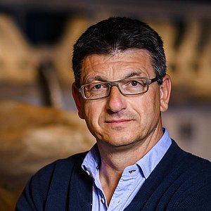 Herr mit Brille schaut in Kamera