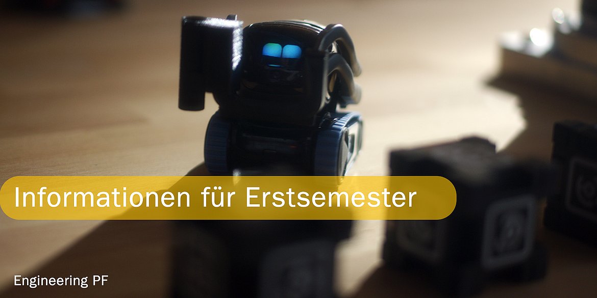 Informationen für Erstsemester an der Fakultät für Technik der Hochschule PForzheim